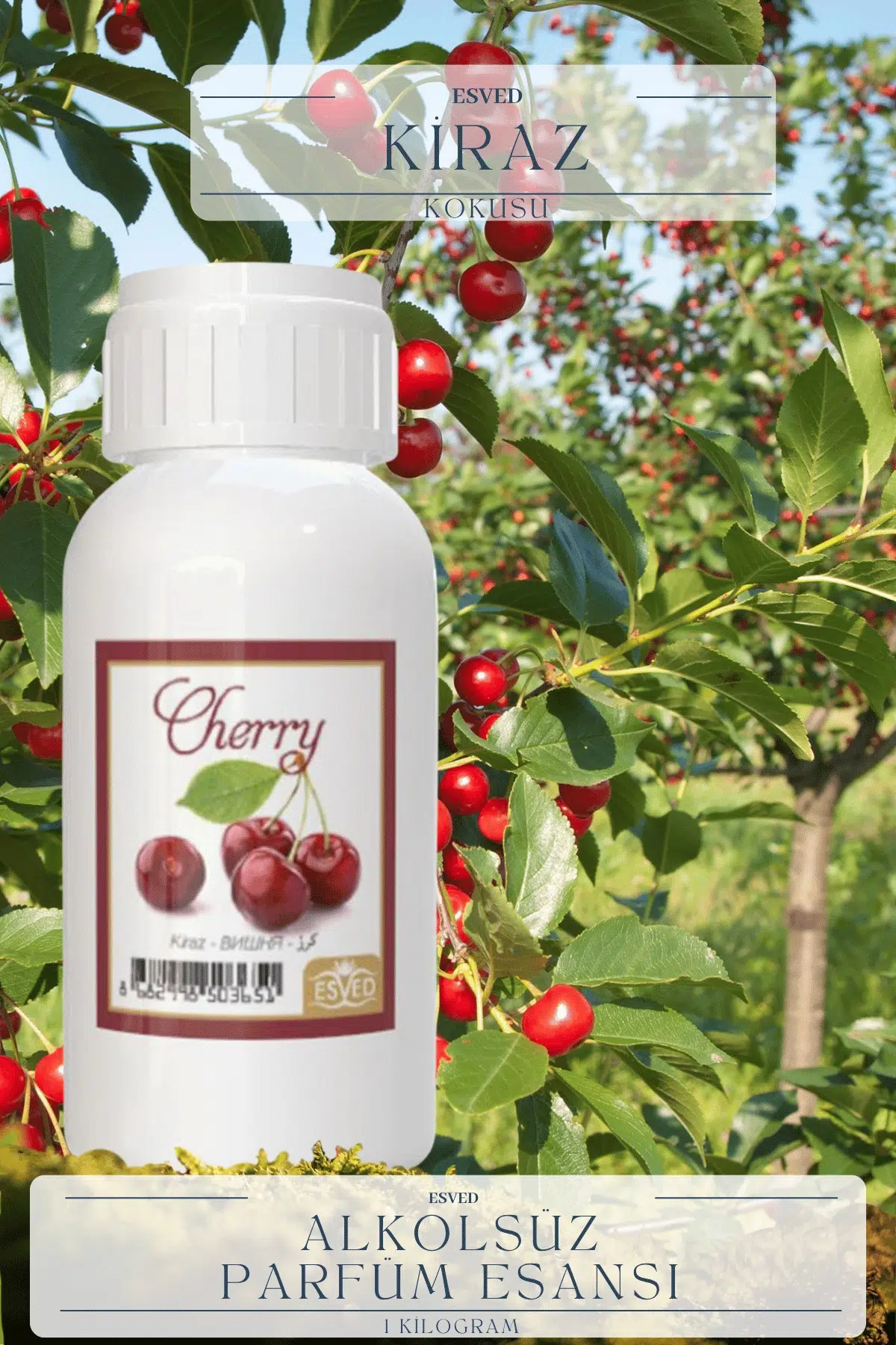 Kiraz Kokusu Toptan Parfüm Esansı 1 Kilogram