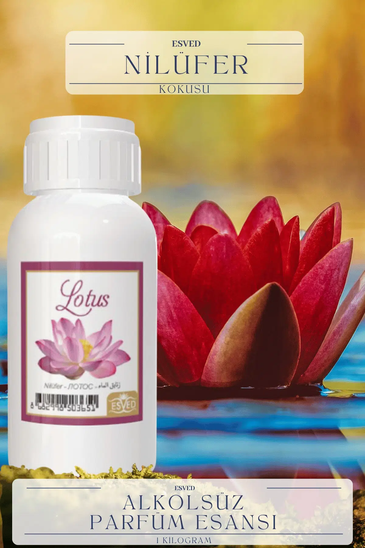 Nilüfer Kokusu Toptan Parfüm Esansı 1 Kilogram