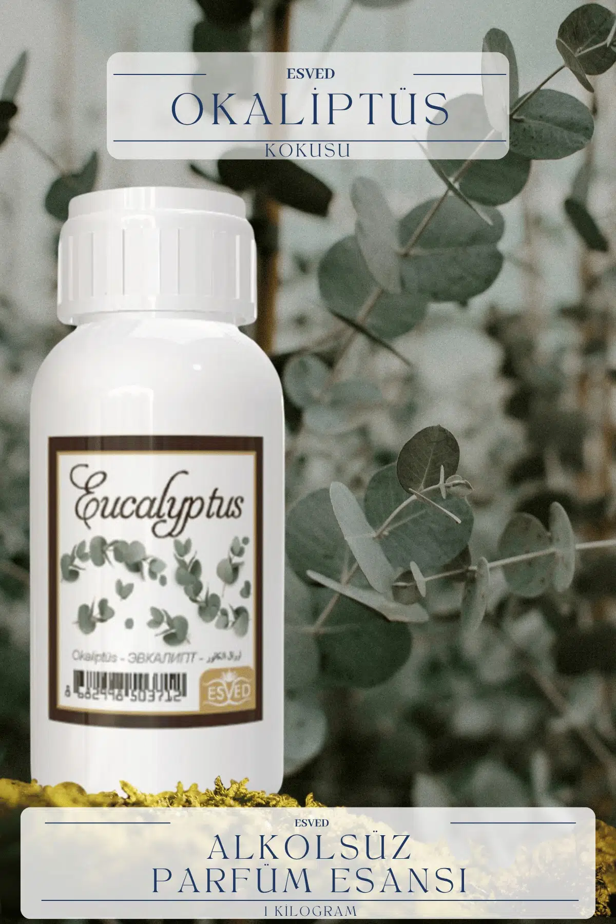 Okaliptus Kokusu Toptan Parfüm Esansı 1 Kilogram