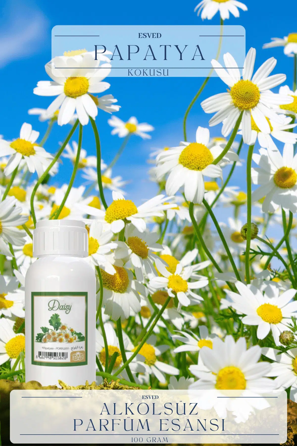 Papatya Kokusu Toptan Parfüm Esansı 1 Kilogram