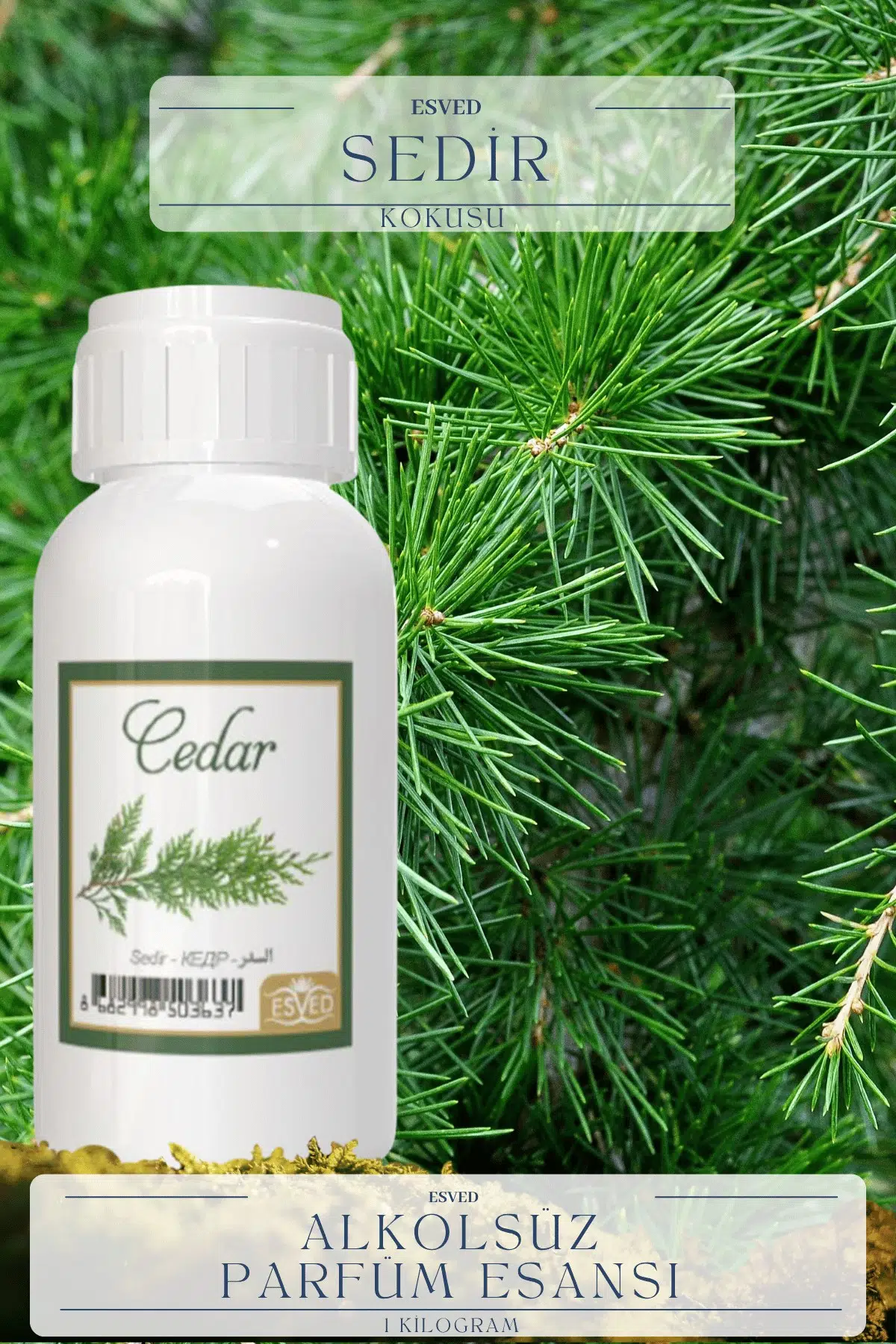 Sedir Kokusu Toptan Parfüm Esansı 1 Kilogram